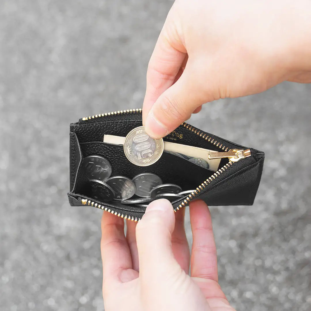 Pure Shrink Leather Fragment Case, Black (Gold Zipper)