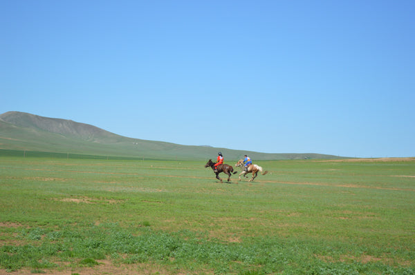 モンゴルの伝統的なお祭り「ナーダム」の過ごし方！