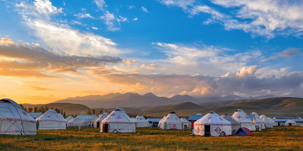 【モンゴルでゲルキャンプ】新入社員が増えたのでみんなでキャンプに行きました！