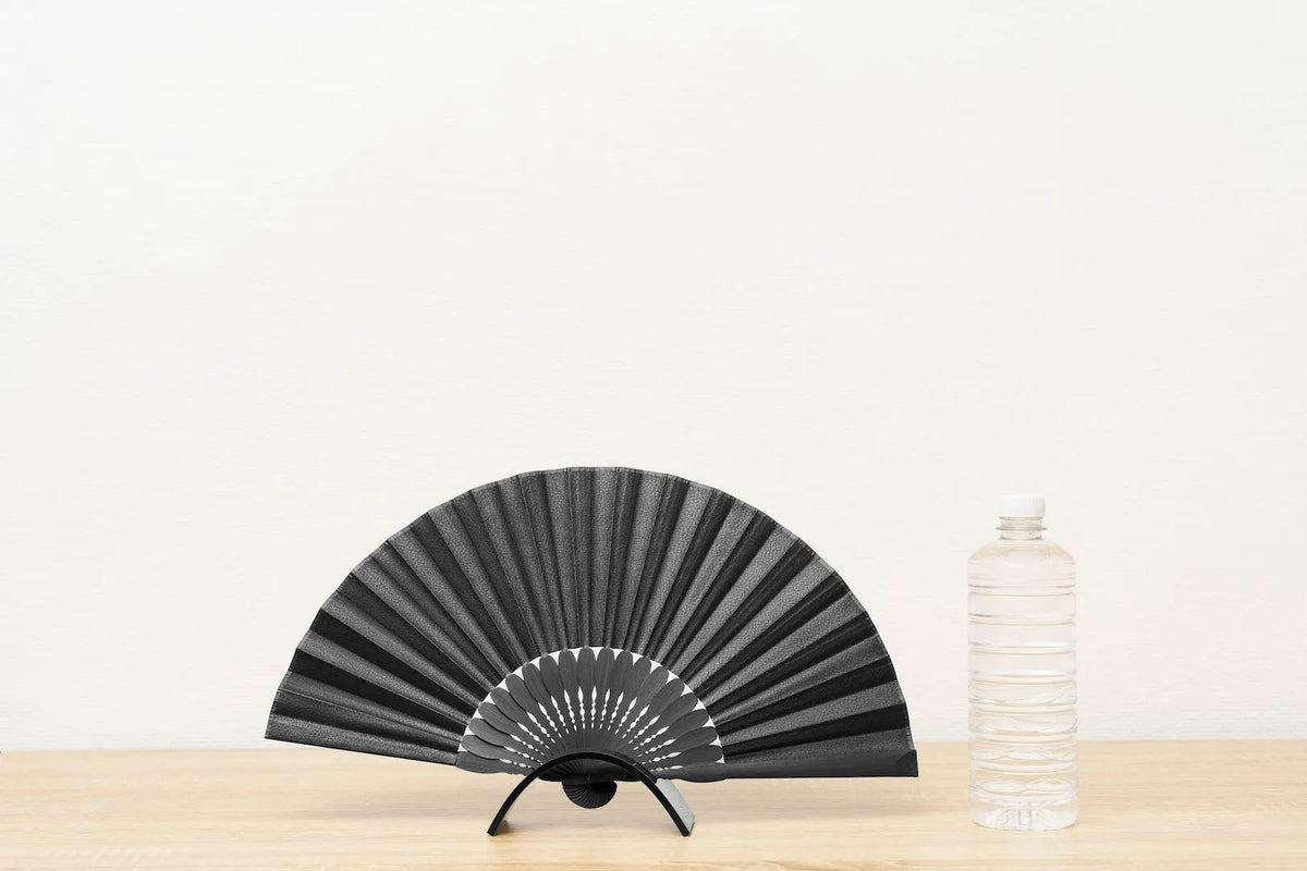 大きさ比較